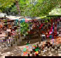 Kuranda Day Trip small group from Port Douglas by bus - Accommodation Burleigh