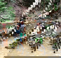 Half Day Bump Track MTB Ride - Accommodation Burleigh