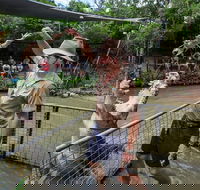 Hartley's Crocodile Adventures Day Trip from Cairns - Accommodation Burleigh