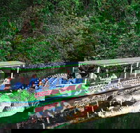 Daintree River Cruise - Accommodation Burleigh