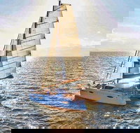 Private Yacht Cruise From Port Douglas to The Great Barrier Reef - Accommodation Burleigh