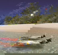 Wavedancer Low Isles Great Barrier Reef Sailing Cruise from Palm Cove - Accommodation Burleigh