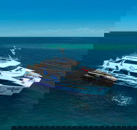 AquaQuest Great Barrier Reef Diving and Snorkeling Cruise from Port Douglas - Accommodation Burleigh