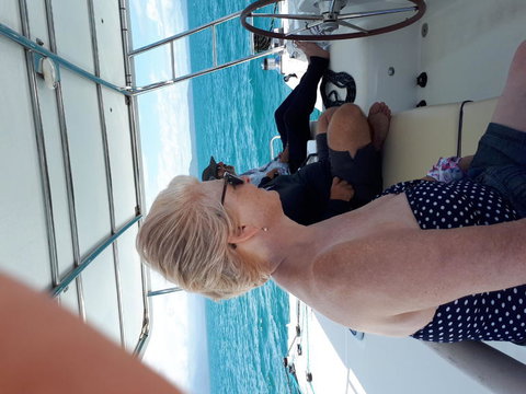 Afternoon Low Isles Snorkeling And Sailing Cruise From Port Douglas - Accommodation Burleigh 8