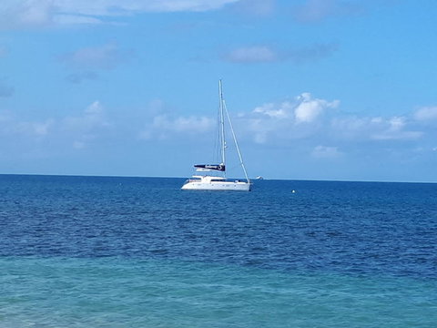 Afternoon Low Isles Snorkeling And Sailing Cruise From Port Douglas - Accommodation Burleigh 7
