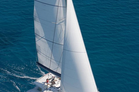 Afternoon Low Isles Snorkeling And Sailing Cruise From Port Douglas - Accommodation Burleigh 11