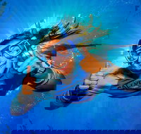 Calypso Outer Great Barrier Reef Cruise from Port Douglas - Accommodation Burleigh