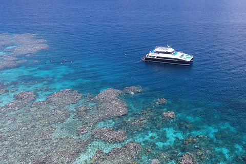 Calypso Outer Great Barrier Reef Cruise From Port Douglas - Accommodation Burleigh 1