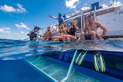 Calypso Outer Great Barrier Reef Cruise From Port Douglas - Accommodation Burleigh 4