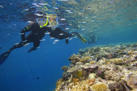 Calypso Outer Great Barrier Reef Cruise From Port Douglas - Accommodation Burleigh 3
