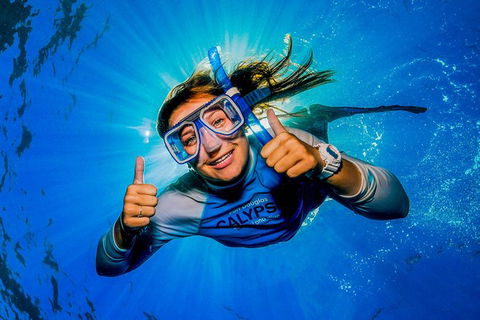 Calypso Outer Great Barrier Reef Cruise From Port Douglas - Accommodation Burleigh 2