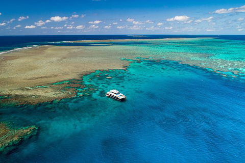 Calypso Outer Great Barrier Reef Cruise From Port Douglas - Accommodation Burleigh 12