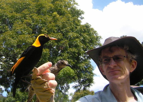O'Reilly's Lamington National Park And Treetop Canopy Tour - Accommodation Burleigh 4