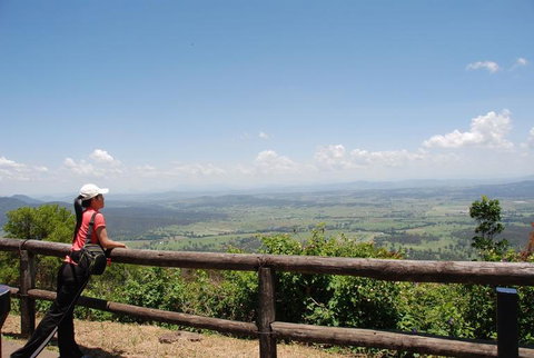 O'Reilly's Lamington National Park And Treetop Canopy Tour - Accommodation Burleigh 6