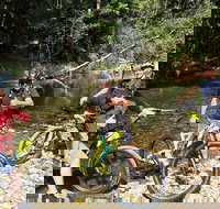 Electric Mountain Bike Rainforest Eco Tour - Accommodation Burleigh