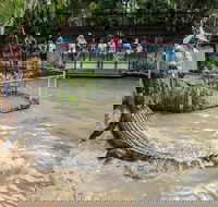 Hartley's Crocodile Adventures General Entry Ticket - Accommodation Burleigh