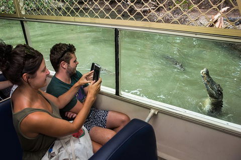 Hartley\'s Crocodile Adventures General Entry Ticket - Accommodation Burleigh 6