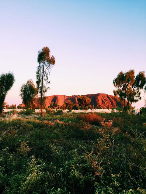 Uluru & Kata Tjuta Sights & Sounds - Accommodation Burleigh 3