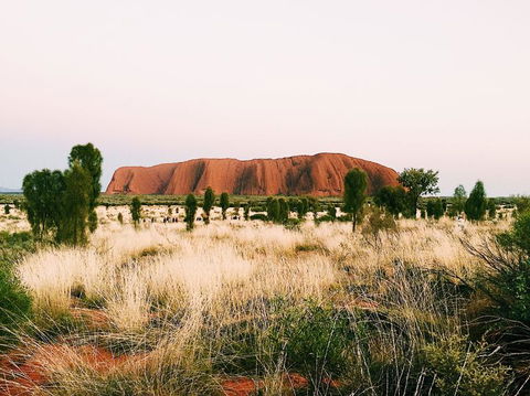 Uluru & Kata Tjuta Sights & Sounds - Accommodation Burleigh 4