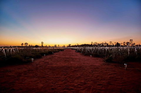 Uluru & Kata Tjuta Sights & Sounds - Accommodation Burleigh 16