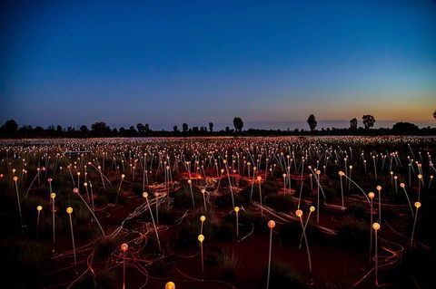 Uluru & Kata Tjuta Sights & Sounds - Accommodation Burleigh 8