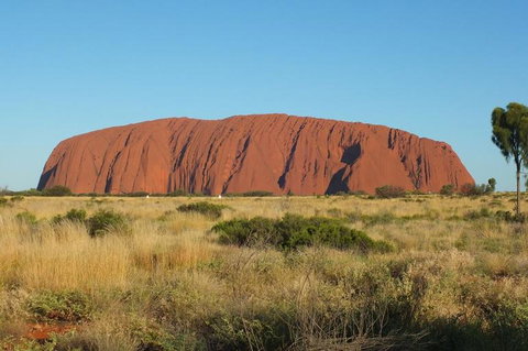 Overnight Uluru (Ayers Rock) Small-Group Camping Tour - Accommodation Burleigh 8