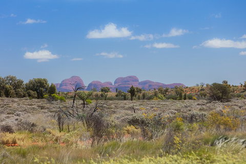 Overnight Uluru (Ayers Rock) Small-Group Camping Tour - Accommodation Burleigh 15
