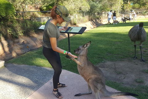 Sydney Private Day Tours - Central Coast, Beaches, Plus Wildlife & Reptile Park - Accommodation Burleigh 0