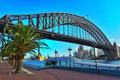 Half Day In Sydney With A Local: Private & Personalized - Accommodation Burleigh 10