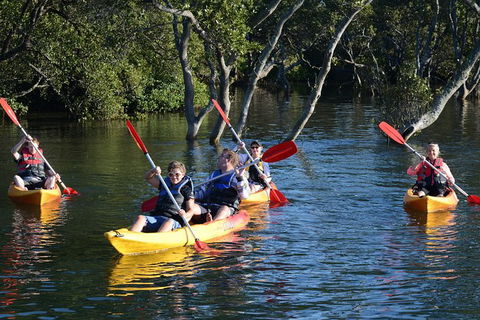 Kayak And SUP Guided Tours - Accommodation Burleigh 0