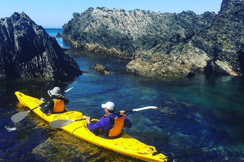 Half Day Sea Kayak Tour From Batemans Bay - Accommodation Burleigh 1