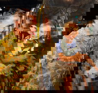 Australian Army Flying Museum - Accommodation Burleigh