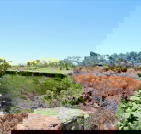 Bladensburg National Park - Accommodation Burleigh