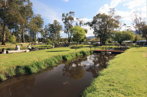 Buxton Trout And Salmon Farm - Accommodation Burleigh 1