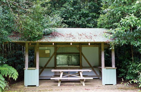 Coachwood Picnic Area - Accommodation Burleigh 0