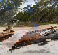 Crooked Brook Forest - Accommodation Burleigh