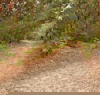 Daleys Point Walking Track - Accommodation Burleigh