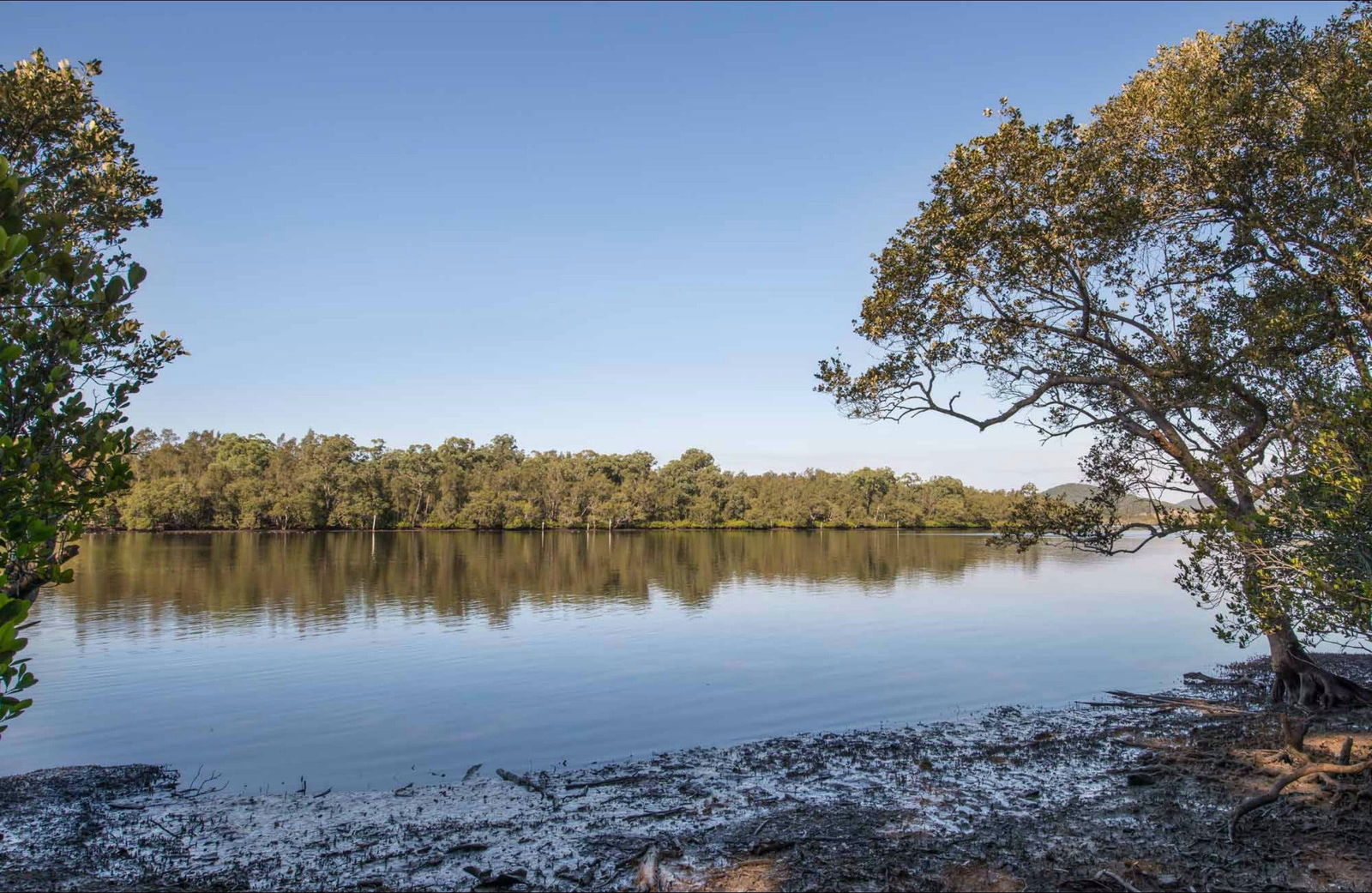 Limeburners Creek NSW Accommodation Burleigh