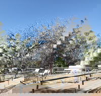 Gregory's Tree Timber Creek - Accommodation Burleigh