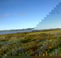 Lakeland - Accommodation Burleigh