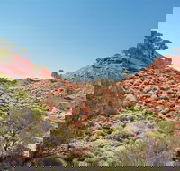 Lark Quarry Conservation Park - Accommodation Burleigh