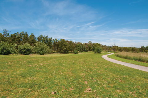 Nortons Park - Accommodation Burleigh 1