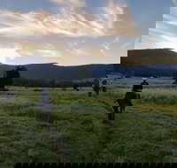 Numinbah Valley Adventure  Camping - Accommodation Burleigh