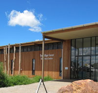 Pilliga Forest Discovery Centre - Accommodation Burleigh