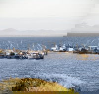 Portarlington - Accommodation Burleigh