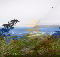 Slingsbys Trail and Syndicate Ridge Track - Accommodation Burleigh