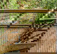 Somersby Falls walking track - Accommodation Burleigh