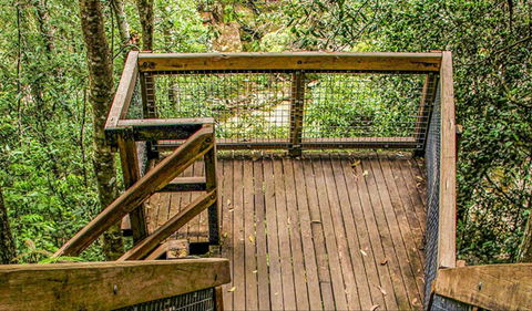 Somersby Falls Walking Track - Accommodation Burleigh 0