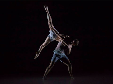 Sydney Dance Company - Accommodation Burleigh 0