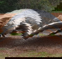 Underwater Marine Sculptures - Accommodation Burleigh